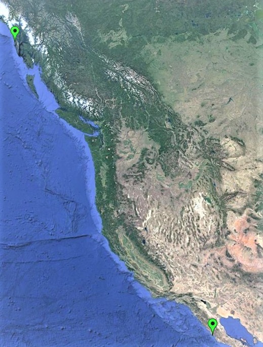 CA Marine Species Portal