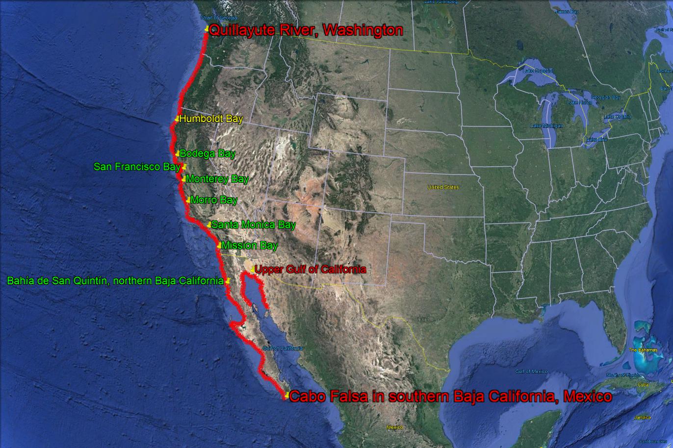 CA Marine Species Portal