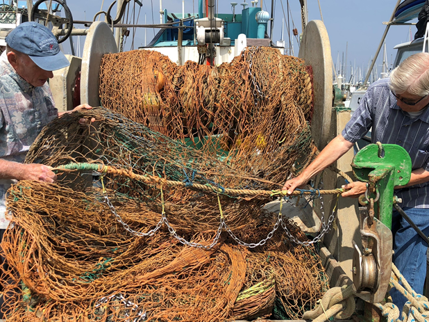 CA Marine Species Portal