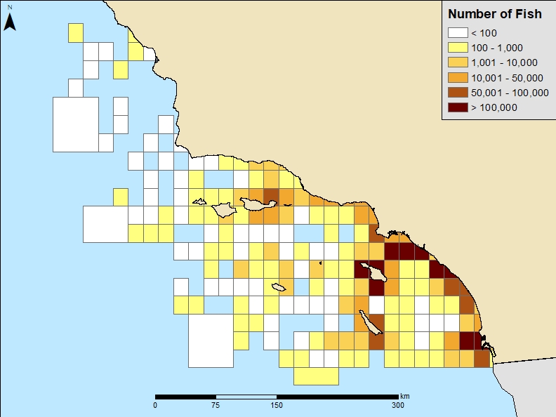 CA Marine Species Portal